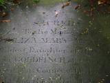 image of grave number 785383